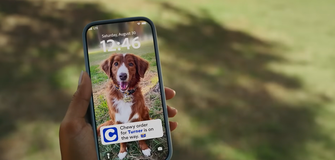 用AI把宠物主变成每月付费会员跨境电商学什么-宠物电商